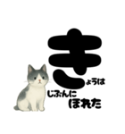 【ギャル式】白黒にゃんの元気パワー☆（個別スタンプ：40）