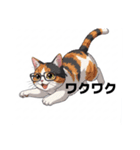 にゃんこスタンプぅ（個別スタンプ：12）
