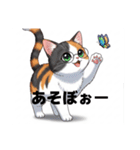 にゃんこスタンプぅ（個別スタンプ：14）
