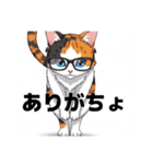 にゃんこスタンプぅ（個別スタンプ：21）