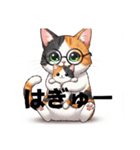 にゃんこスタンプぅ（個別スタンプ：24）