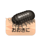 スマホの上のダンゴムシ6《関西弁》（個別スタンプ：3）
