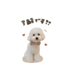 メイちゃん♡スタンダード（個別スタンプ：1）