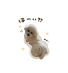 メイちゃん♡スタンダード（個別スタンプ：3）