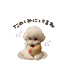 メイちゃん♡スタンダード（個別スタンプ：13）