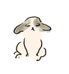 うろ覚えチワワ（個別スタンプ：5）