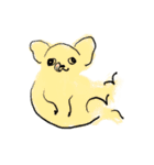 うろ覚えチワワ（個別スタンプ：9）