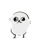 うろ覚えチワワ（個別スタンプ：14）