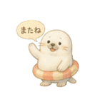 ふわふわアザラシの夏スタンプ（個別スタンプ：12）