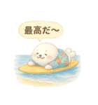 ふわふわアザラシの夏スタンプ（個別スタンプ：20）