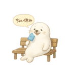 ふわふわアザラシの夏スタンプ（個別スタンプ：36）