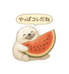 ふわふわアザラシの夏スタンプ（個別スタンプ：40）