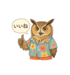 夏の水彩フクロウスタンプ（個別スタンプ：1）