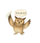 夏の水彩フクロウスタンプ（個別スタンプ：15）