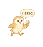 夏の水彩フクロウスタンプ（個別スタンプ：19）