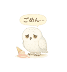 夏の水彩フクロウスタンプ（個別スタンプ：21）