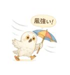 夏の水彩フクロウスタンプ（個別スタンプ：24）