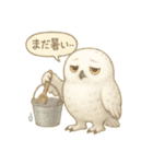 夏の水彩フクロウスタンプ（個別スタンプ：32）