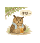 夏の水彩フクロウスタンプ（個別スタンプ：33）