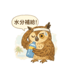 夏の水彩フクロウスタンプ（個別スタンプ：34）