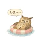 夏の水彩フクロウスタンプ（個別スタンプ：35）
