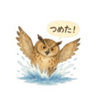 夏の水彩フクロウスタンプ（個別スタンプ：37）