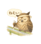 夏の水彩フクロウスタンプ（個別スタンプ：38）