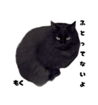 三兄弟と愉快な保護猫達シリーズ⑤（個別スタンプ：15）