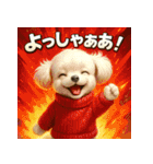 トイプーのハッピータイム♪（個別スタンプ：1）