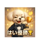 トイプーのハッピータイム♪（個別スタンプ：3）