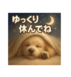 トイプーのハッピータイム♪（個別スタンプ：4）