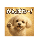 トイプーのハッピータイム♪（個別スタンプ：5）