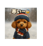 トイプーのハッピータイム♪（個別スタンプ：9）