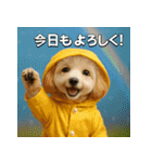 トイプーのハッピータイム♪（個別スタンプ：25）