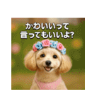 トイプーのハッピータイム♪（個別スタンプ：26）