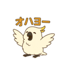 オウムのポヨリ（個別スタンプ：1）