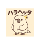 オウムのポヨリ（個別スタンプ：2）
