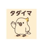 オウムのポヨリ（個別スタンプ：4）