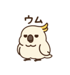 オウムのポヨリ（個別スタンプ：8）