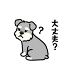 もじゃシュナのやさしい日常スタンプ（個別スタンプ：4）