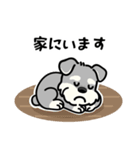 もじゃシュナのやさしい日常スタンプ（個別スタンプ：8）