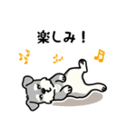 もじゃシュナのやさしい日常スタンプ（個別スタンプ：15）