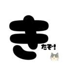 【ドン！】白黒ねこ、気合いのひとこと（個別スタンプ：5）