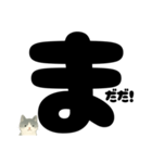 【ドン！】白黒ねこ、気合いのひとこと（個別スタンプ：9）