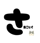 【ドン！】白黒ねこ、気合いのひとこと（個別スタンプ：10）