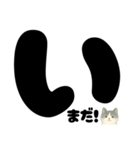 【ドン！】白黒ねこ、気合いのひとこと（個別スタンプ：11）