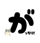 【ドン！】白黒ねこ、気合いのひとこと（個別スタンプ：24）
