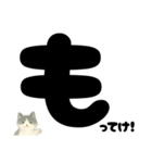 【ドン！】白黒ねこ、気合いのひとこと（個別スタンプ：36）