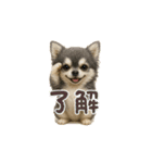 プロペラ8（個別スタンプ：1）
