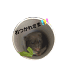 Y.animals（個別スタンプ：7）
